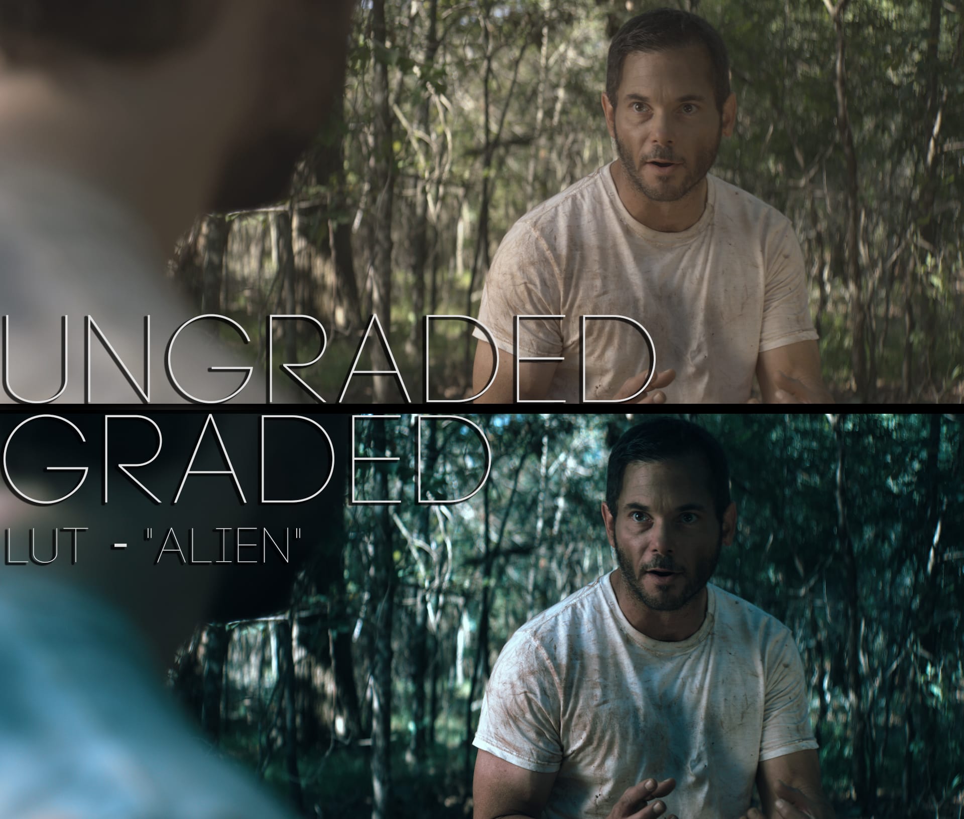 Cinematic LUTs V1