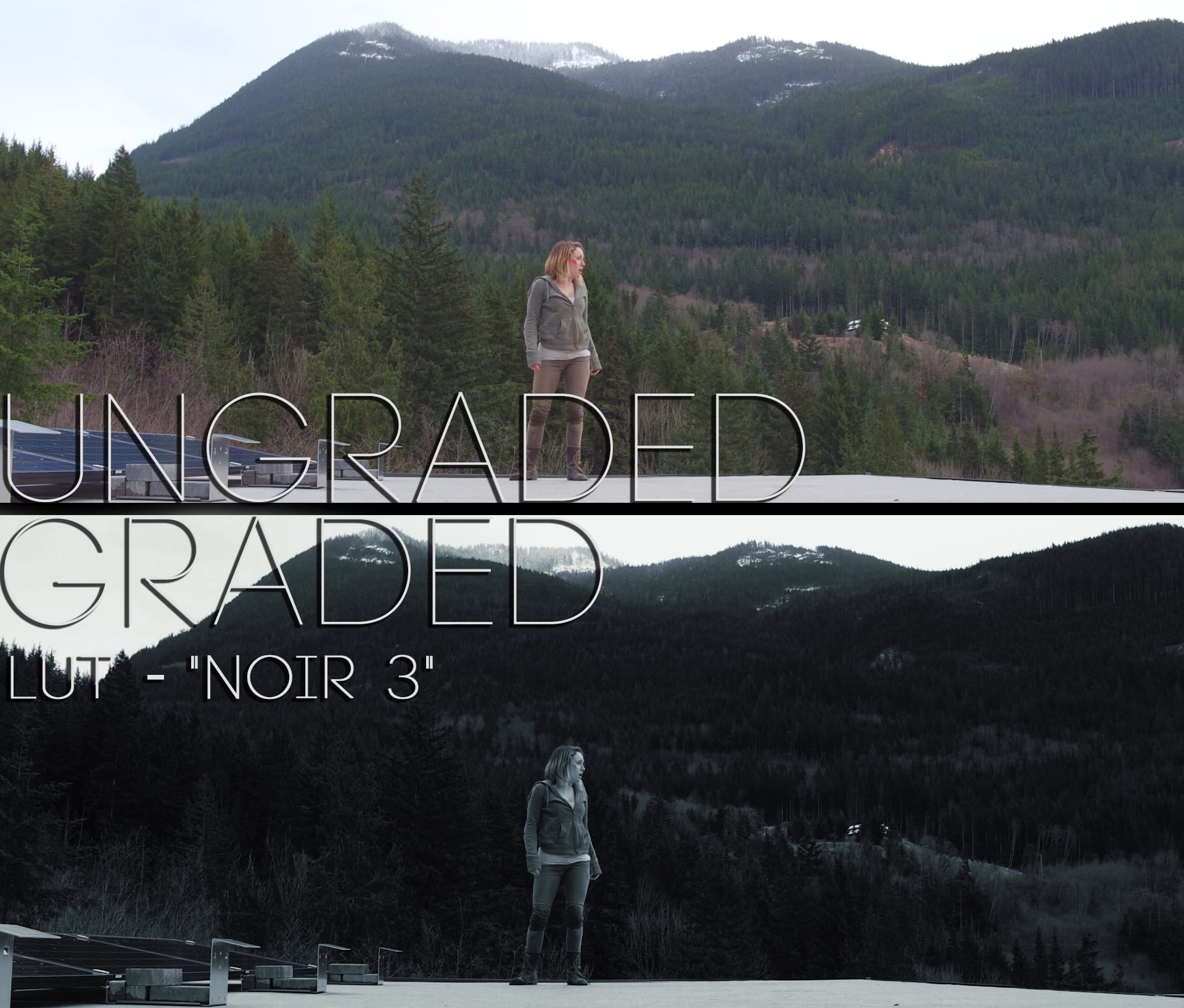Cinematic LUTs V1