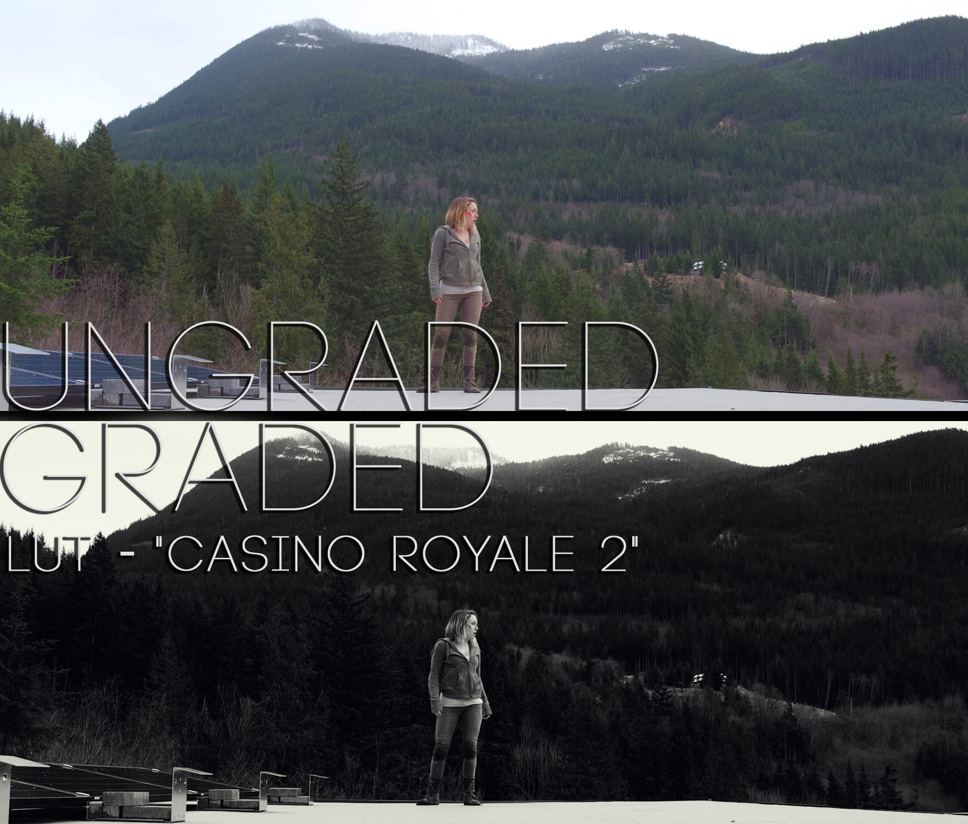 Cinematic LUTs V1