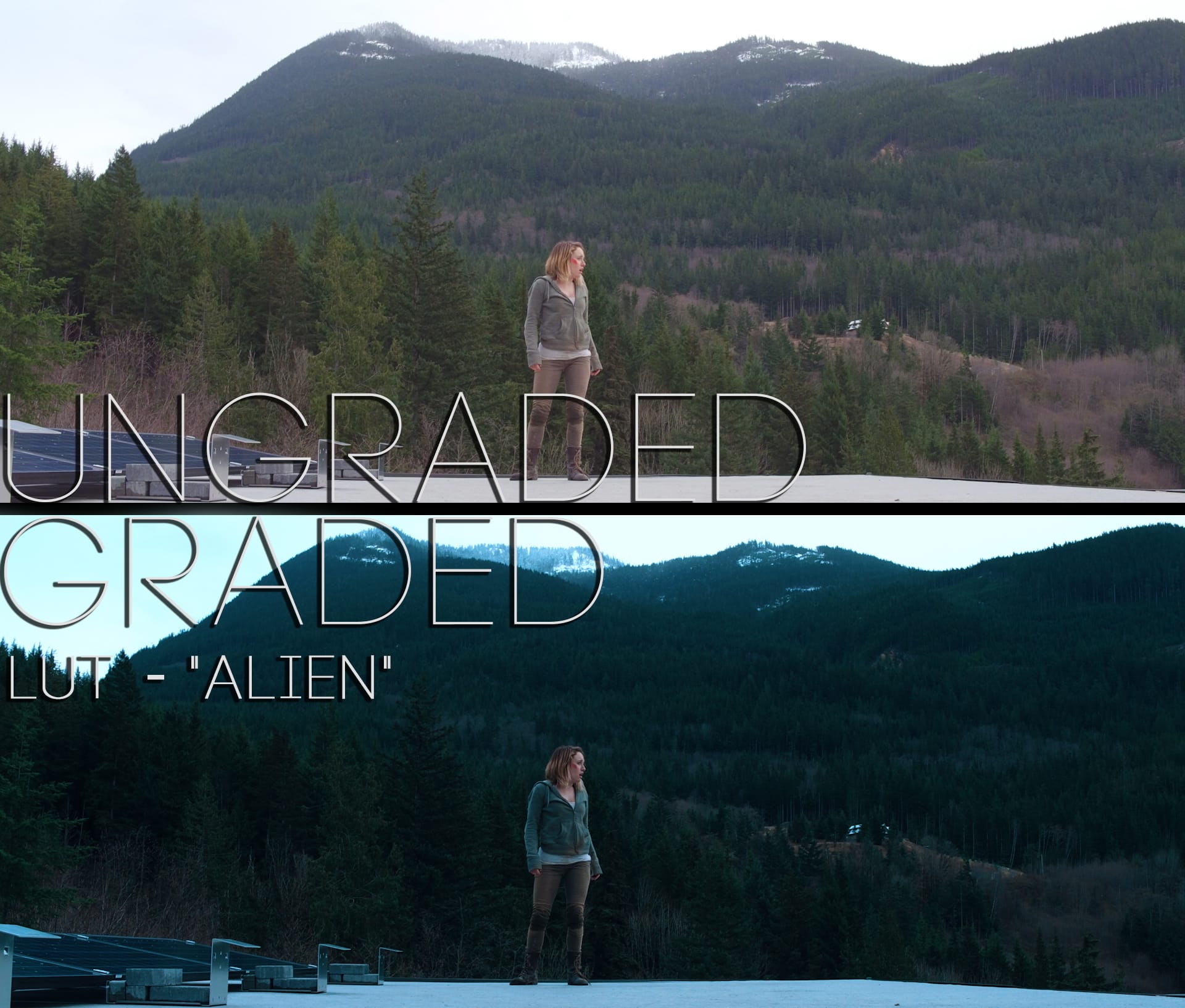 Cinematic LUTs V1