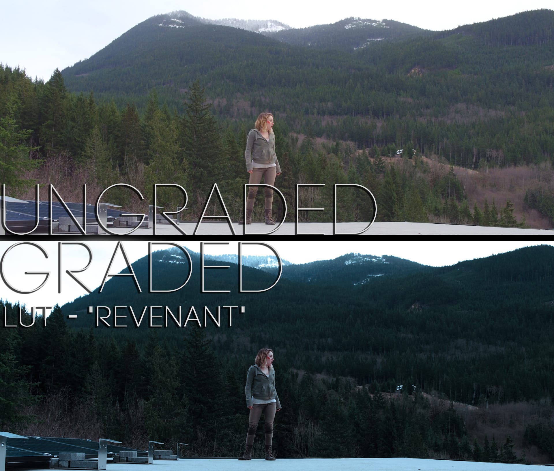 Cinematic LUTs V1