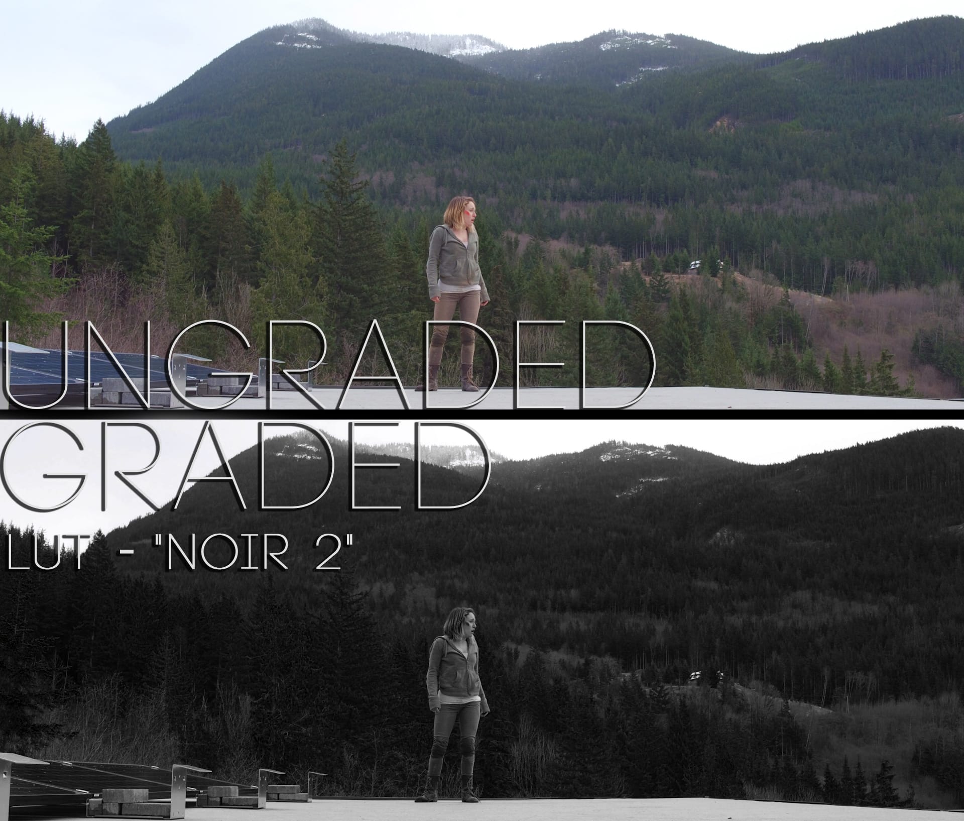 Cinematic LUTs V1