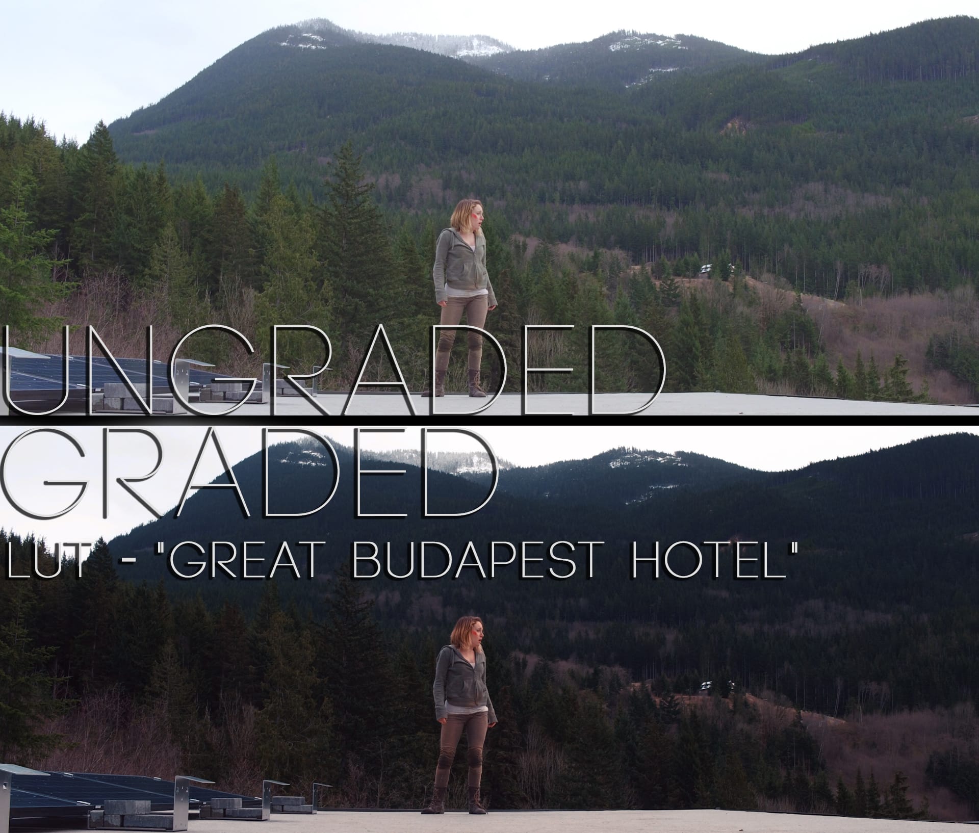 Cinematic LUTs V1