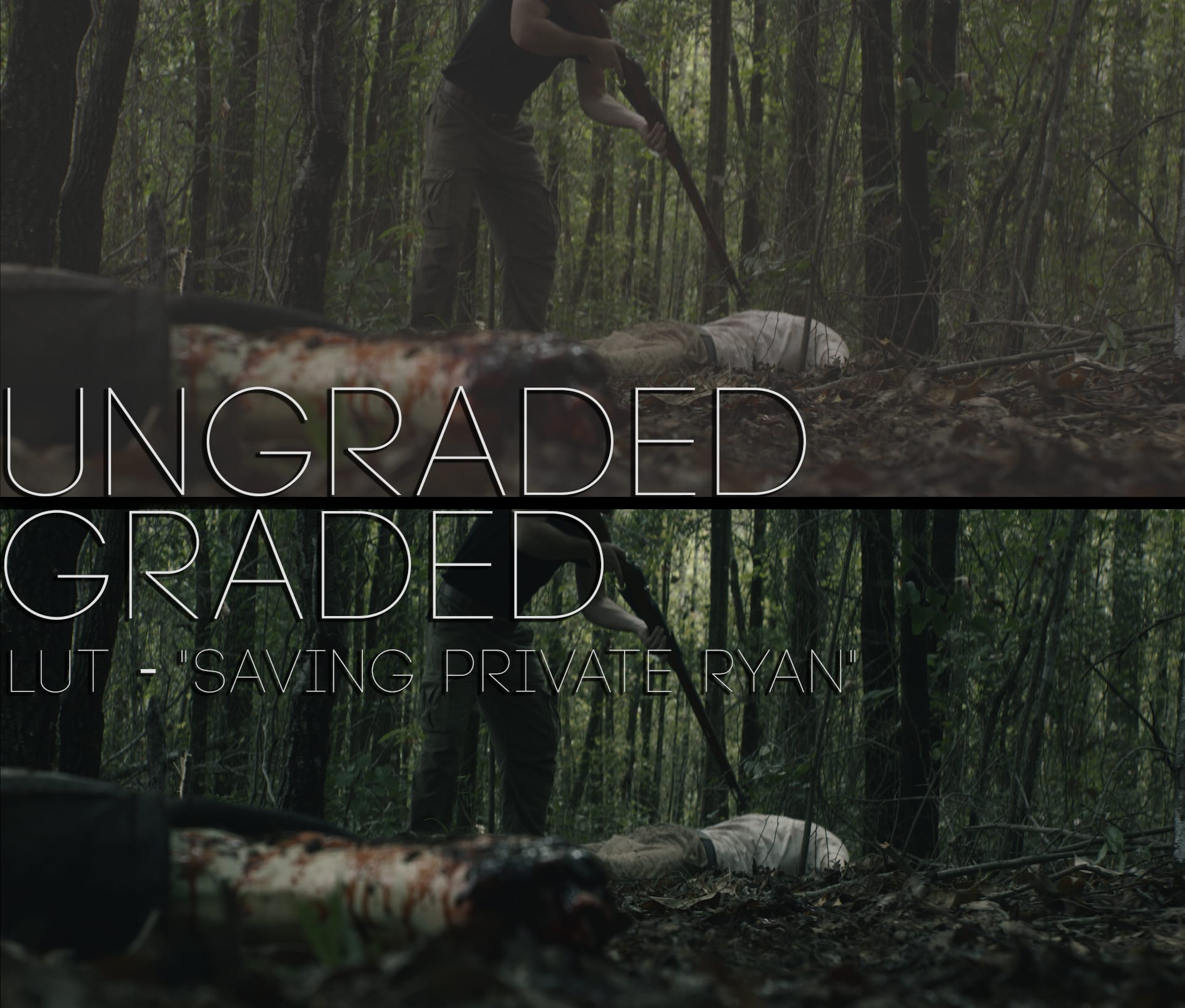 Cinematic LUTs V1