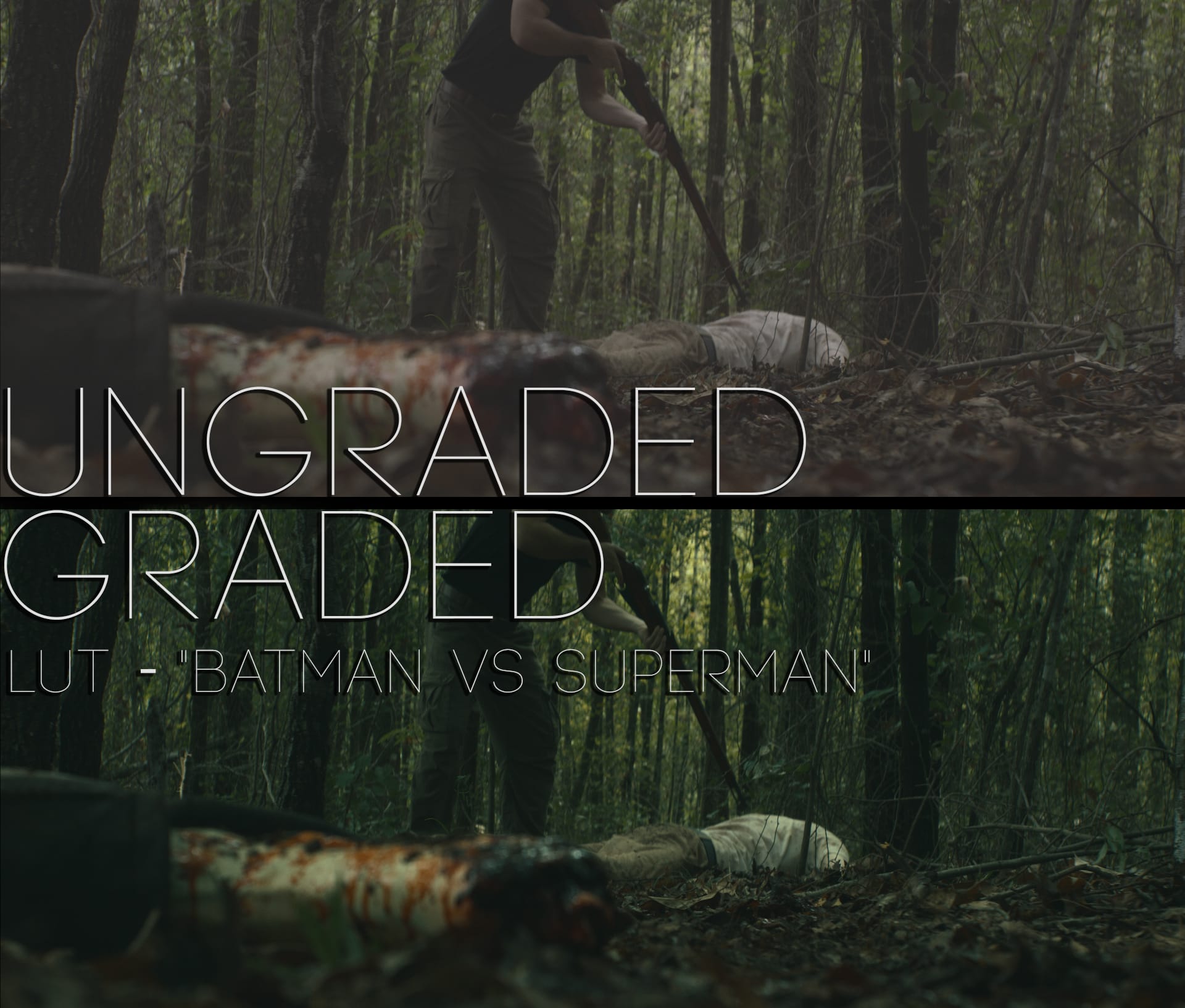 Cinematic LUTs V1