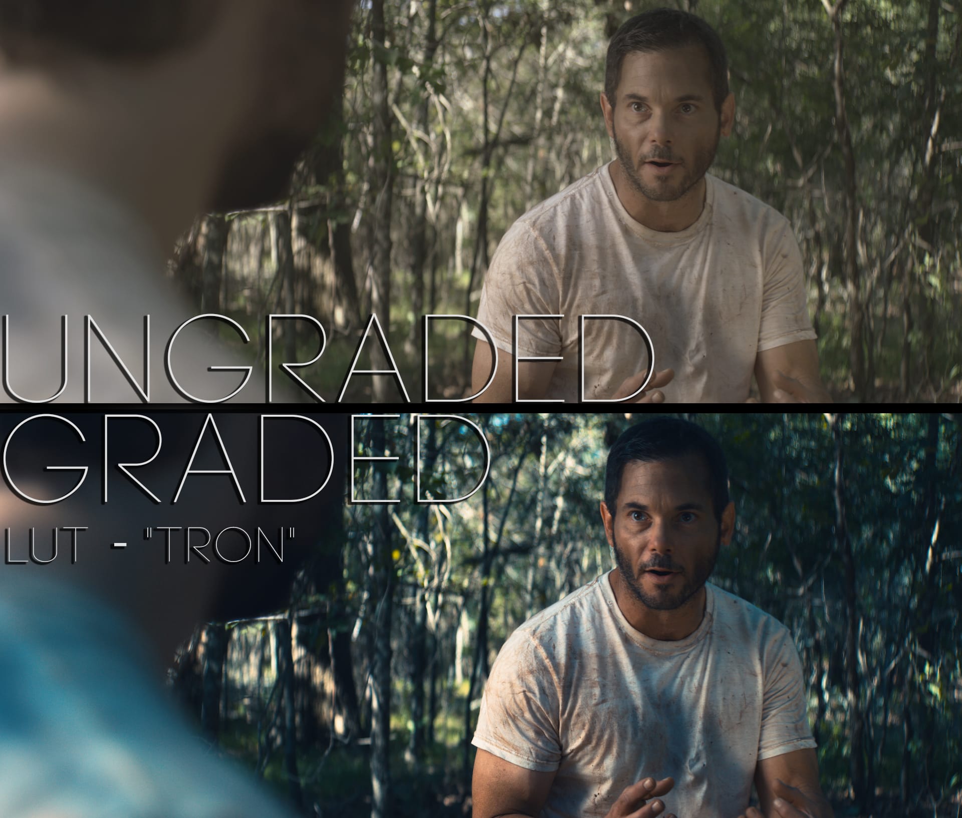Cinematic LUTs V1