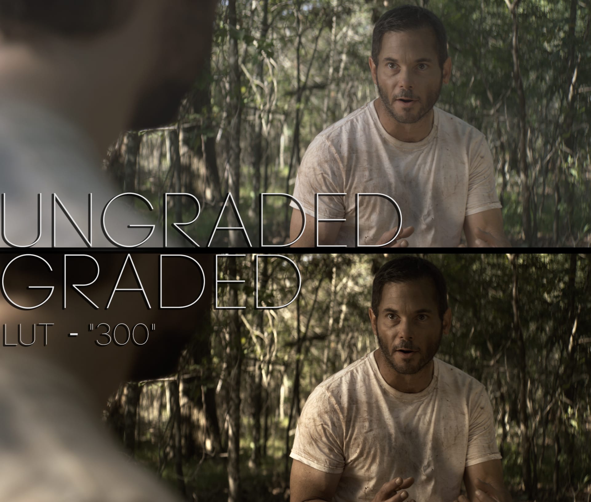 Cinematic LUTs V1