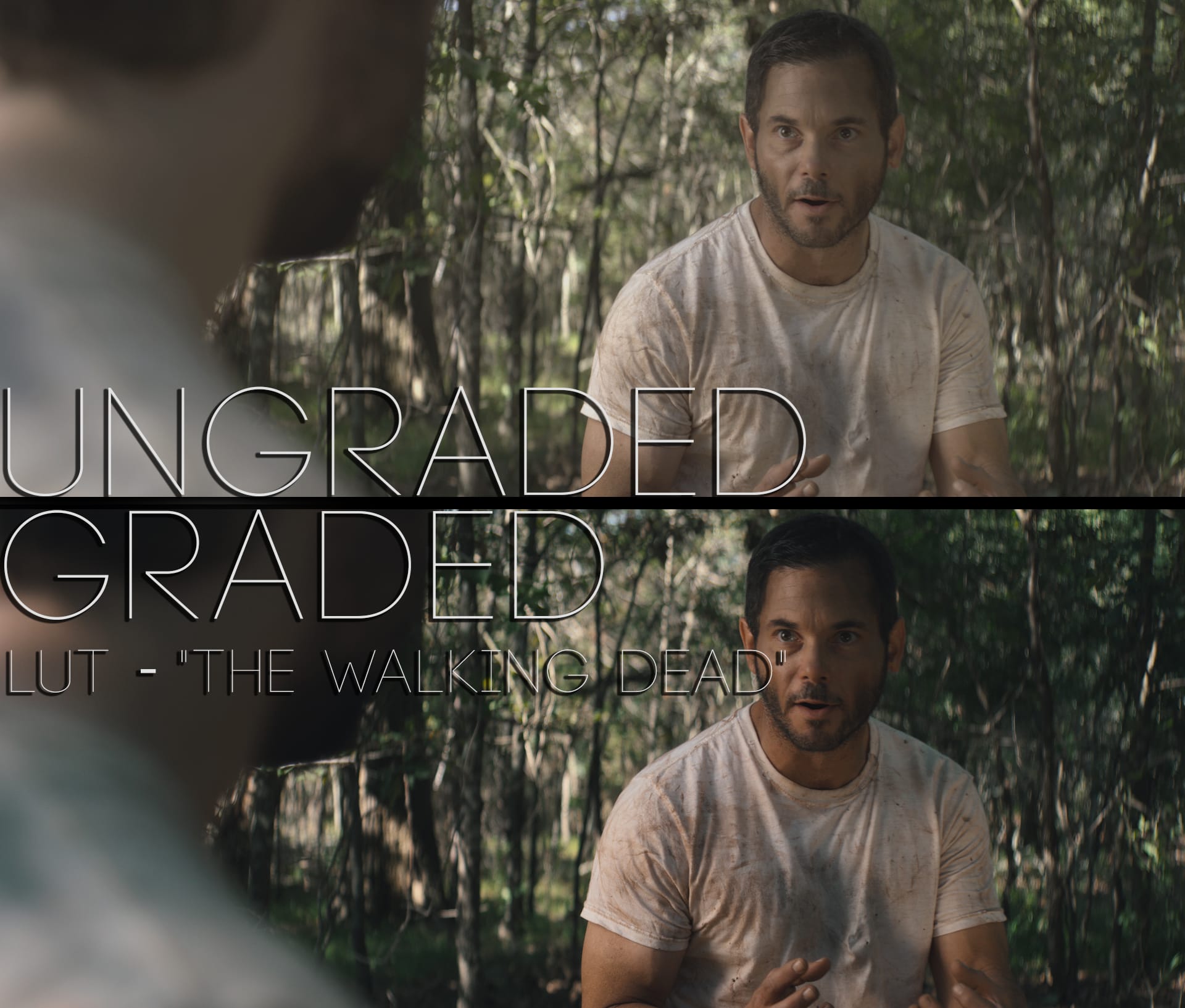 Cinematic LUTs V1