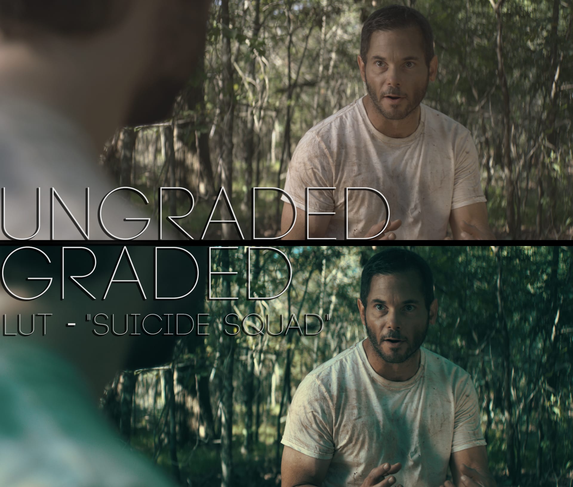 Cinematic LUTs V1