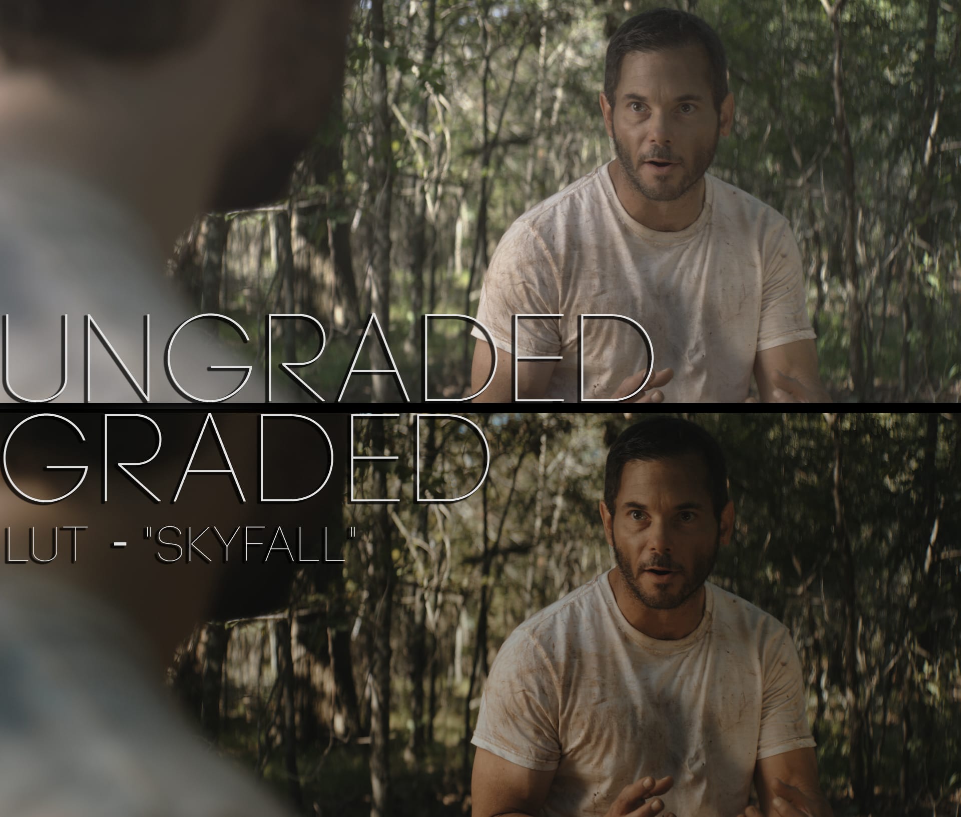 Cinematic LUTs V1