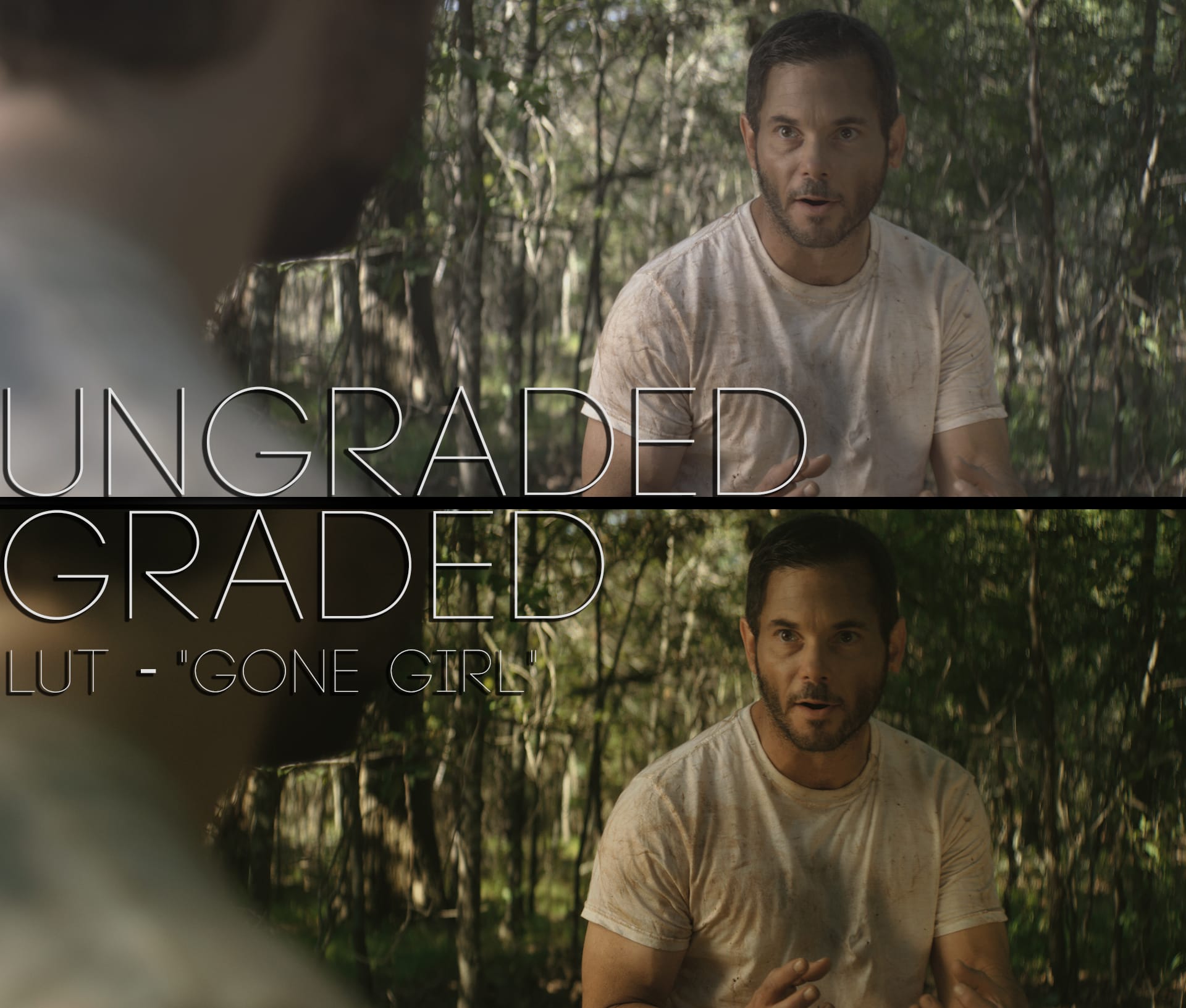 Cinematic LUTs V1