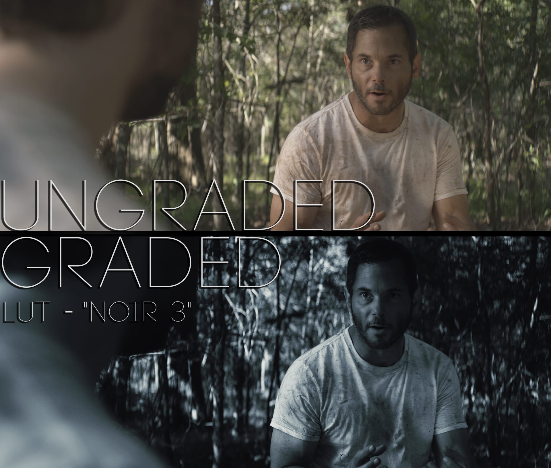 Cinematic LUTs V1