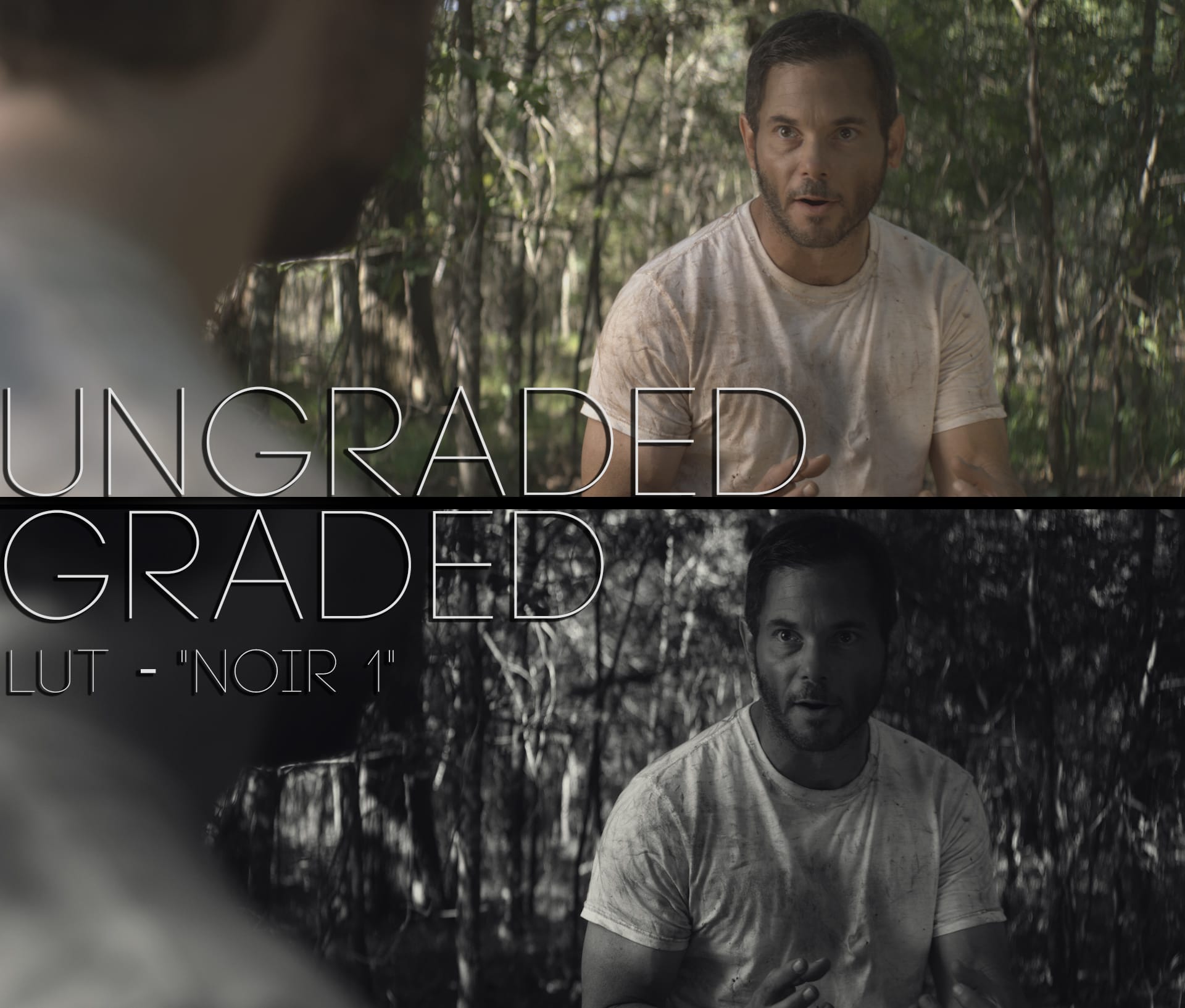 Cinematic LUTs V1
