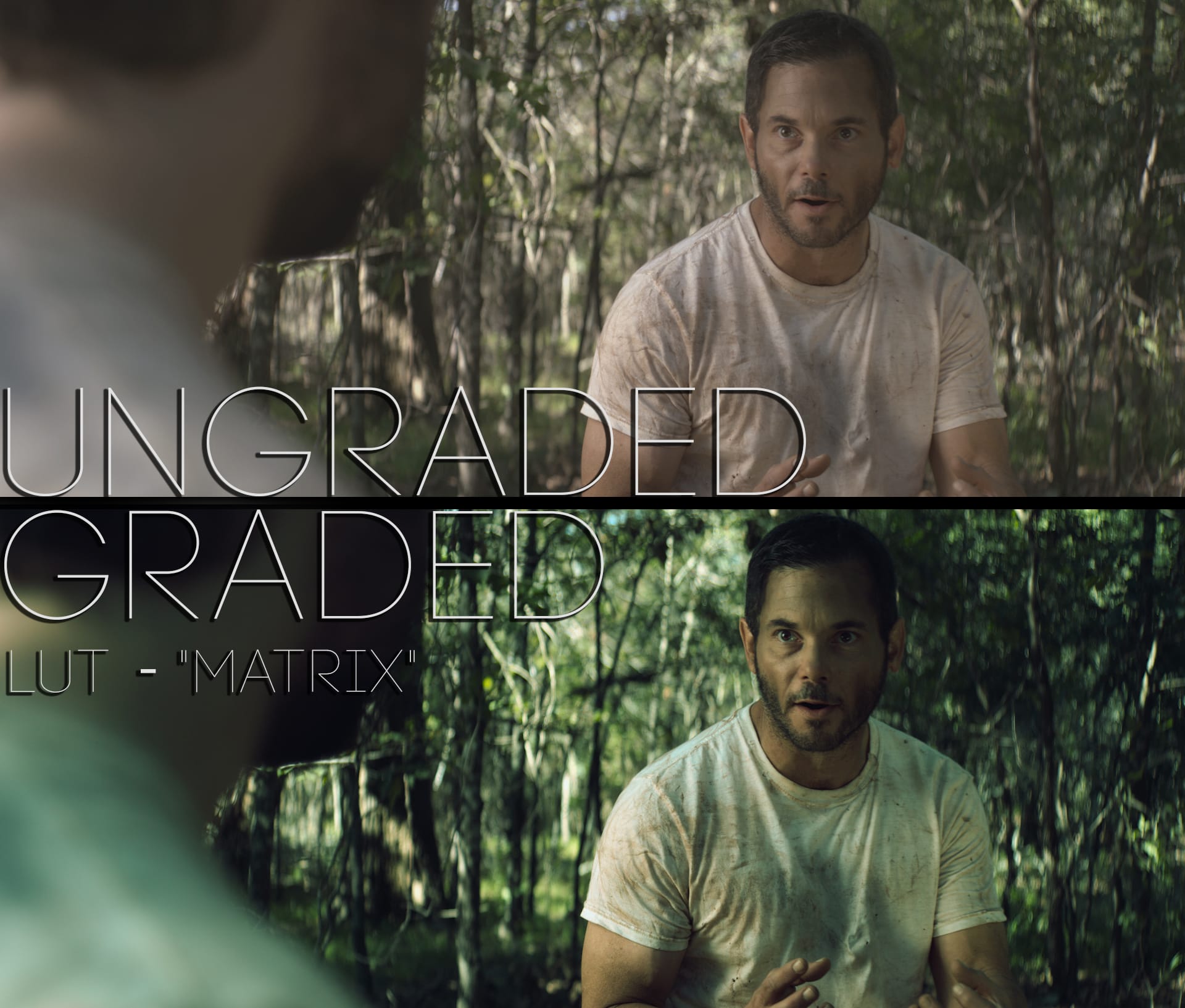Cinematic LUTs V1