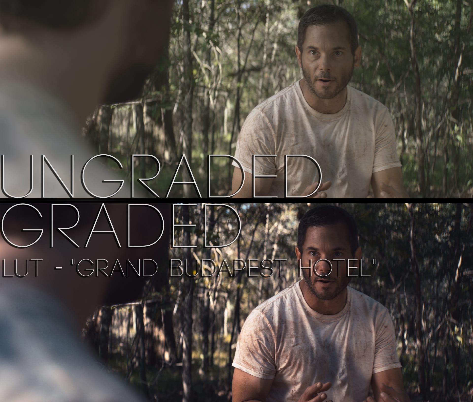 Cinematic LUTs V1