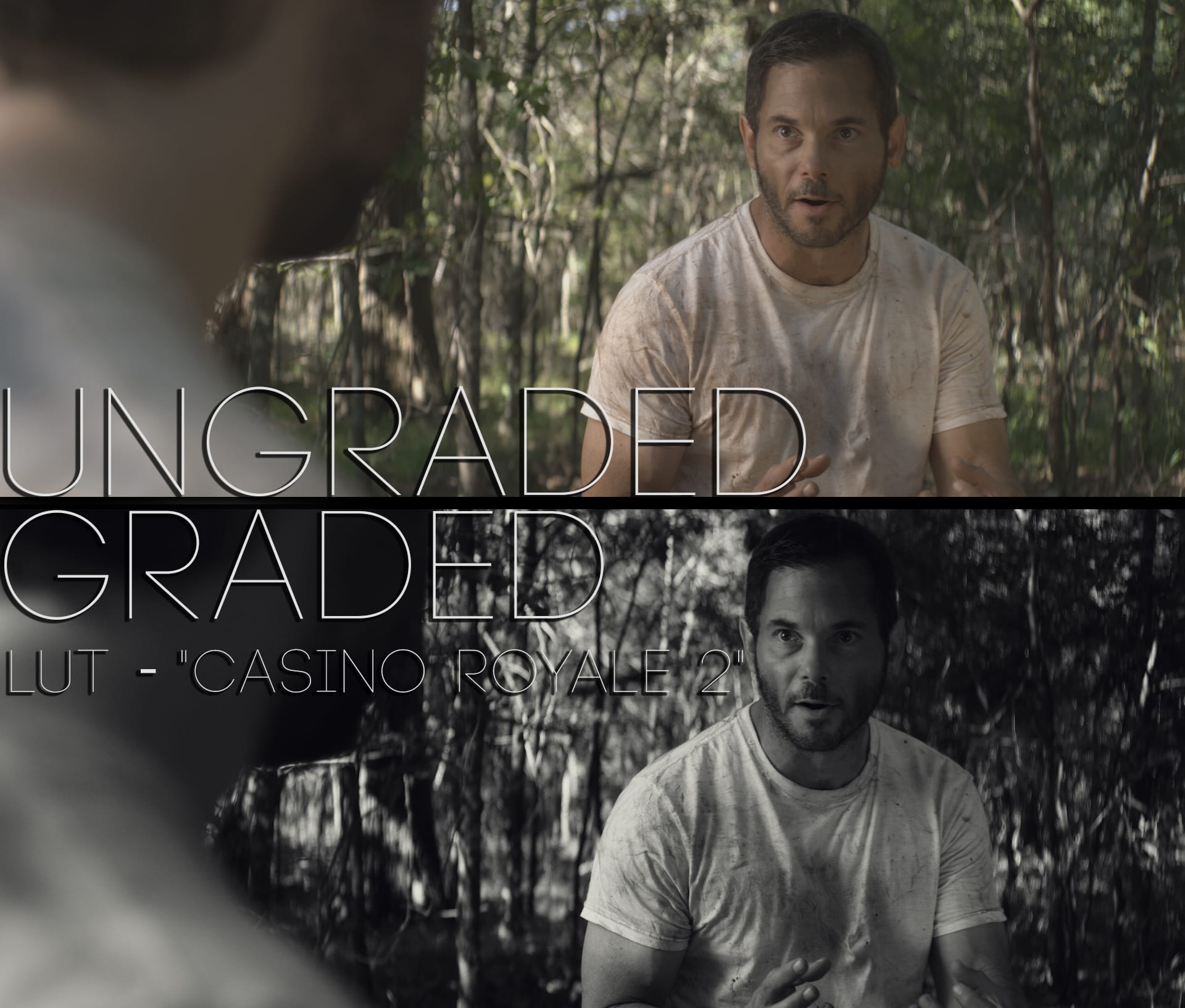Cinematic LUTs V1