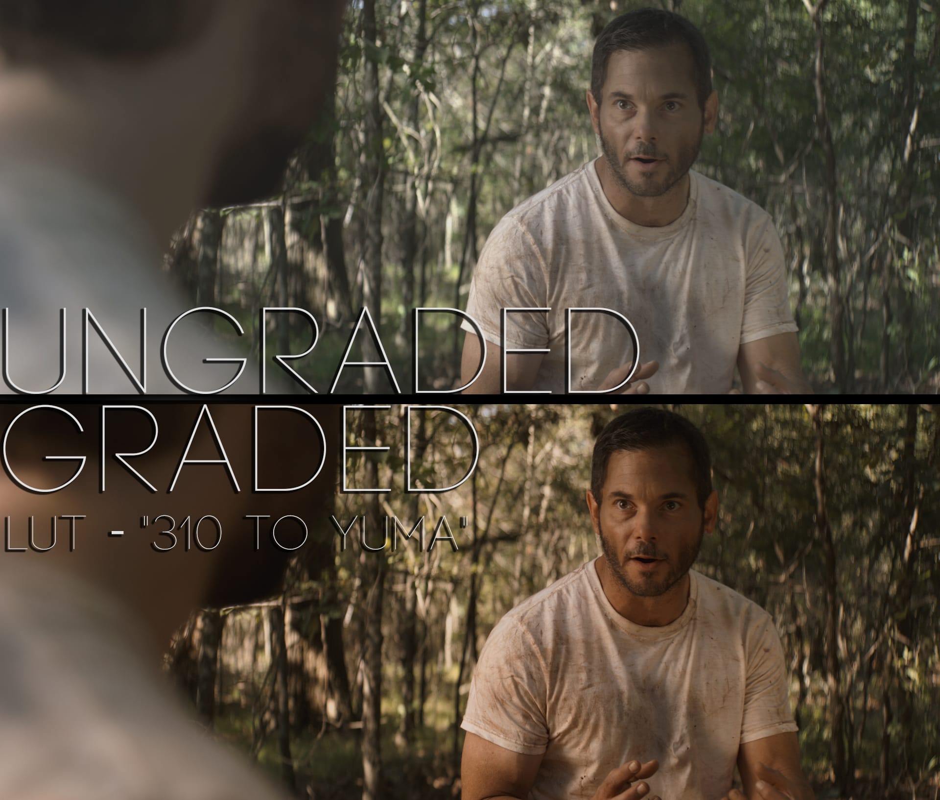 Cinematic LUTs V1