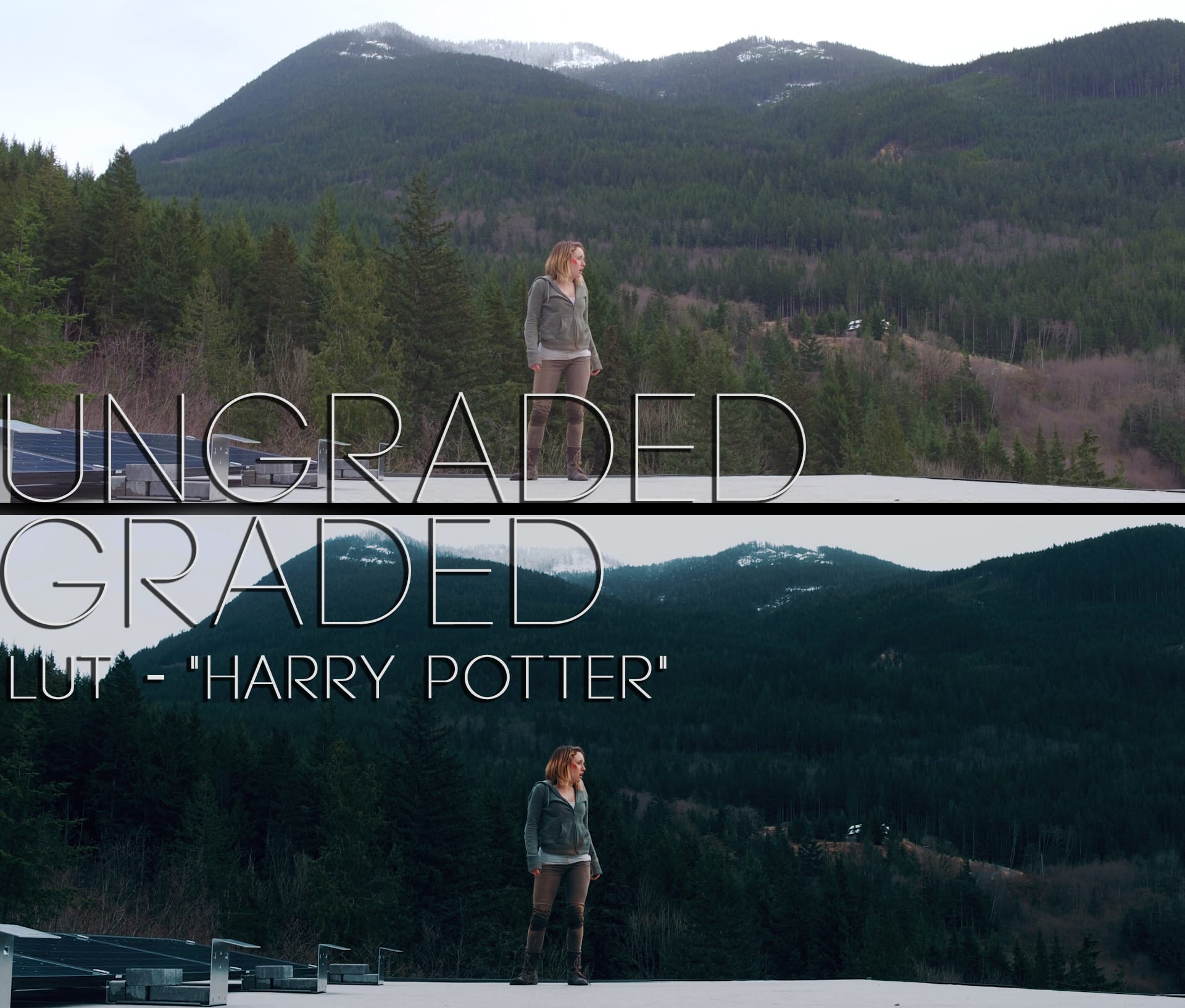 Cinematic LUTs V1