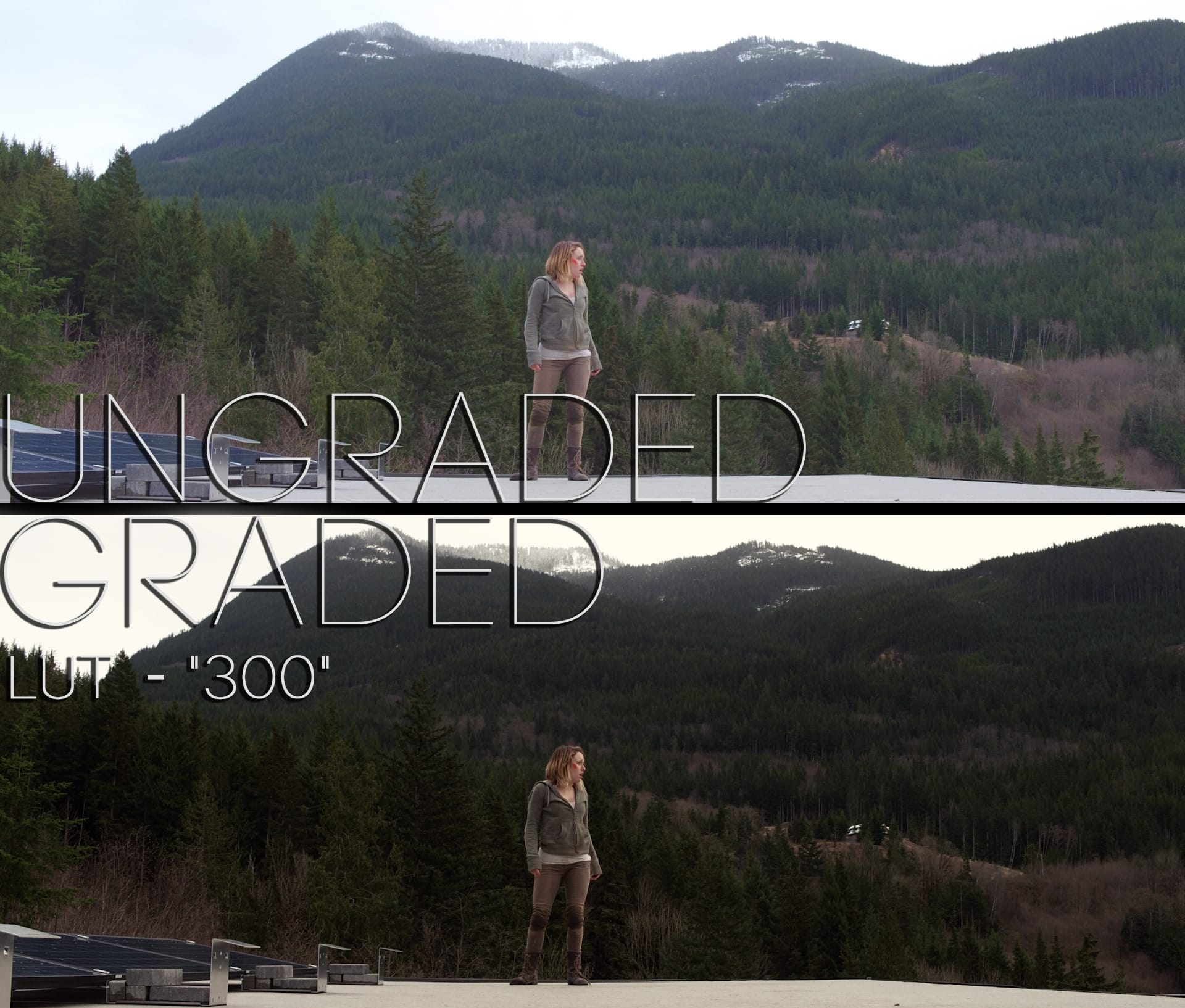 Cinematic LUTs V1