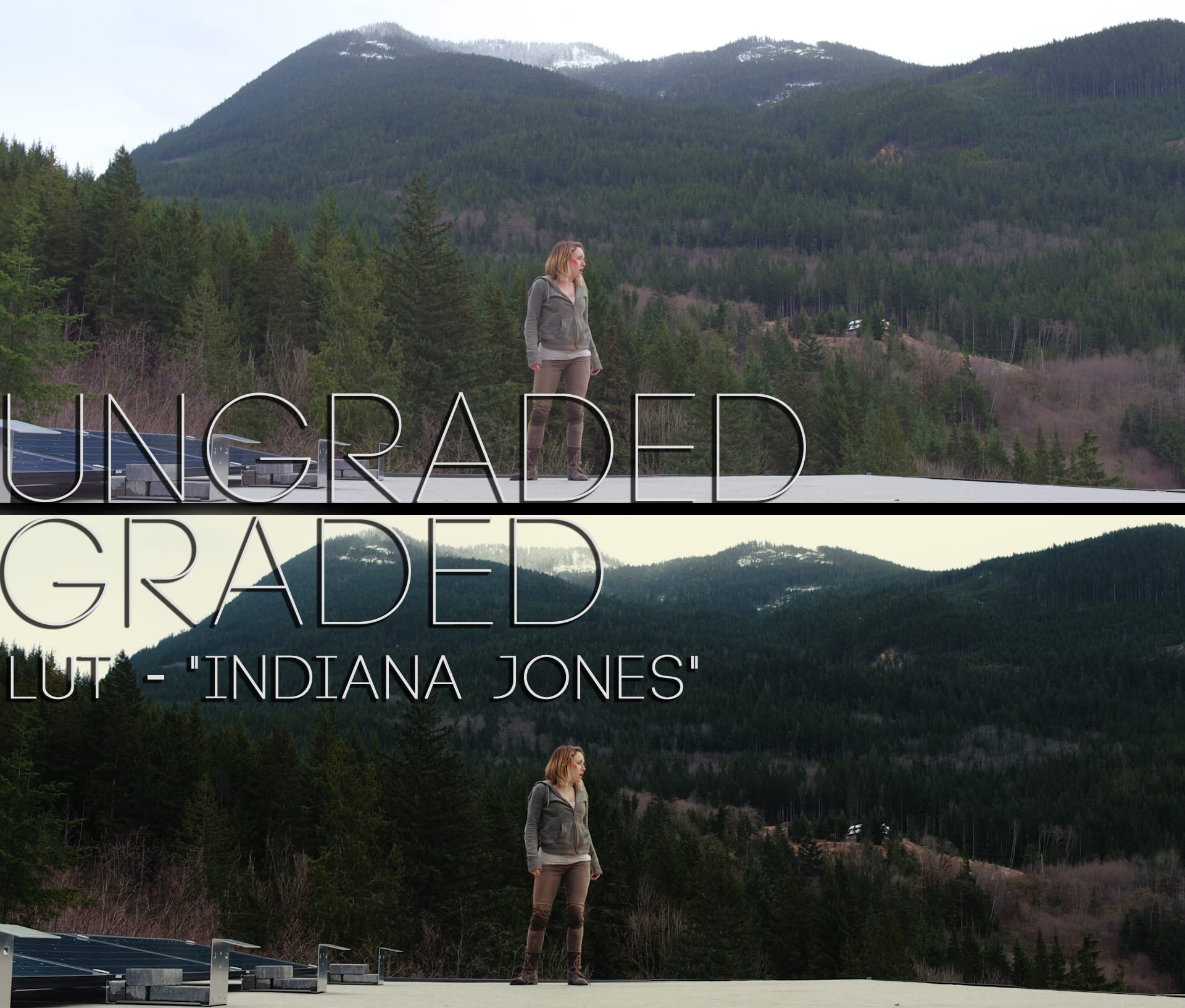 Cinematic LUTs V1