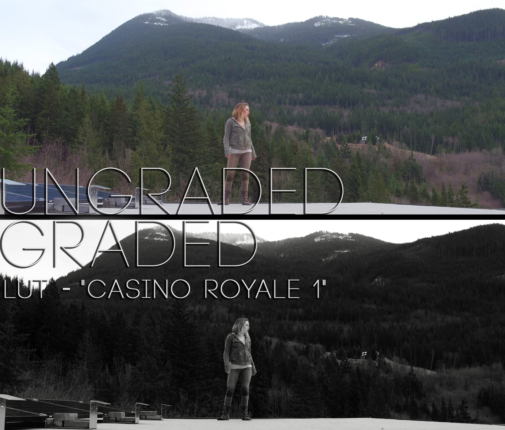 Cinematic LUTs V1