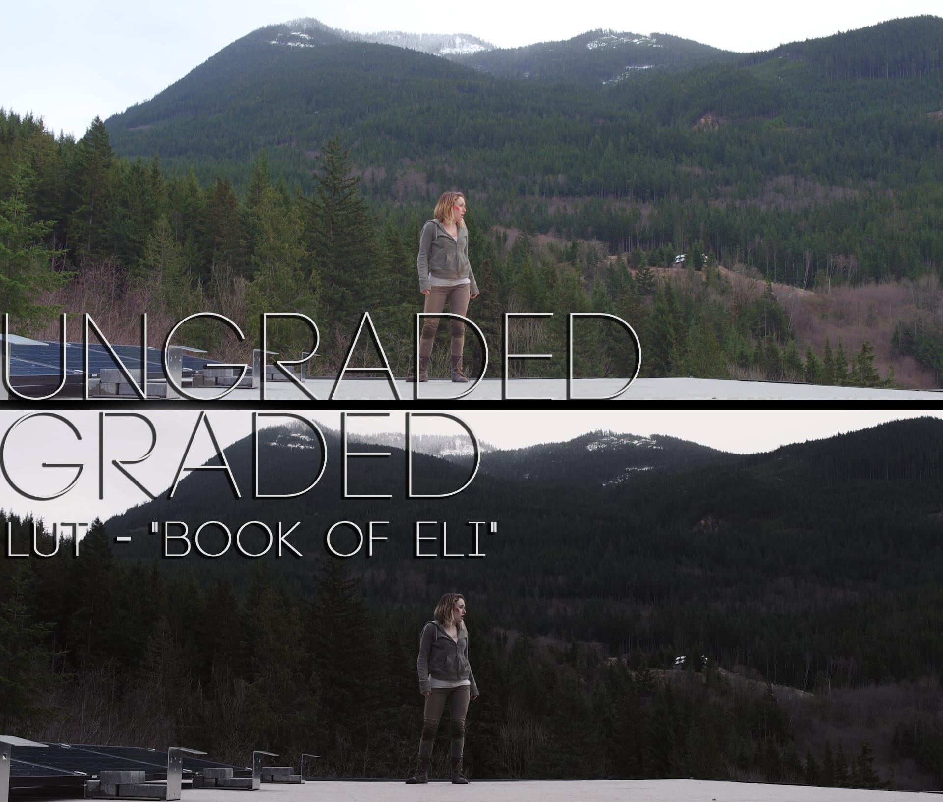 Cinematic LUTs V1