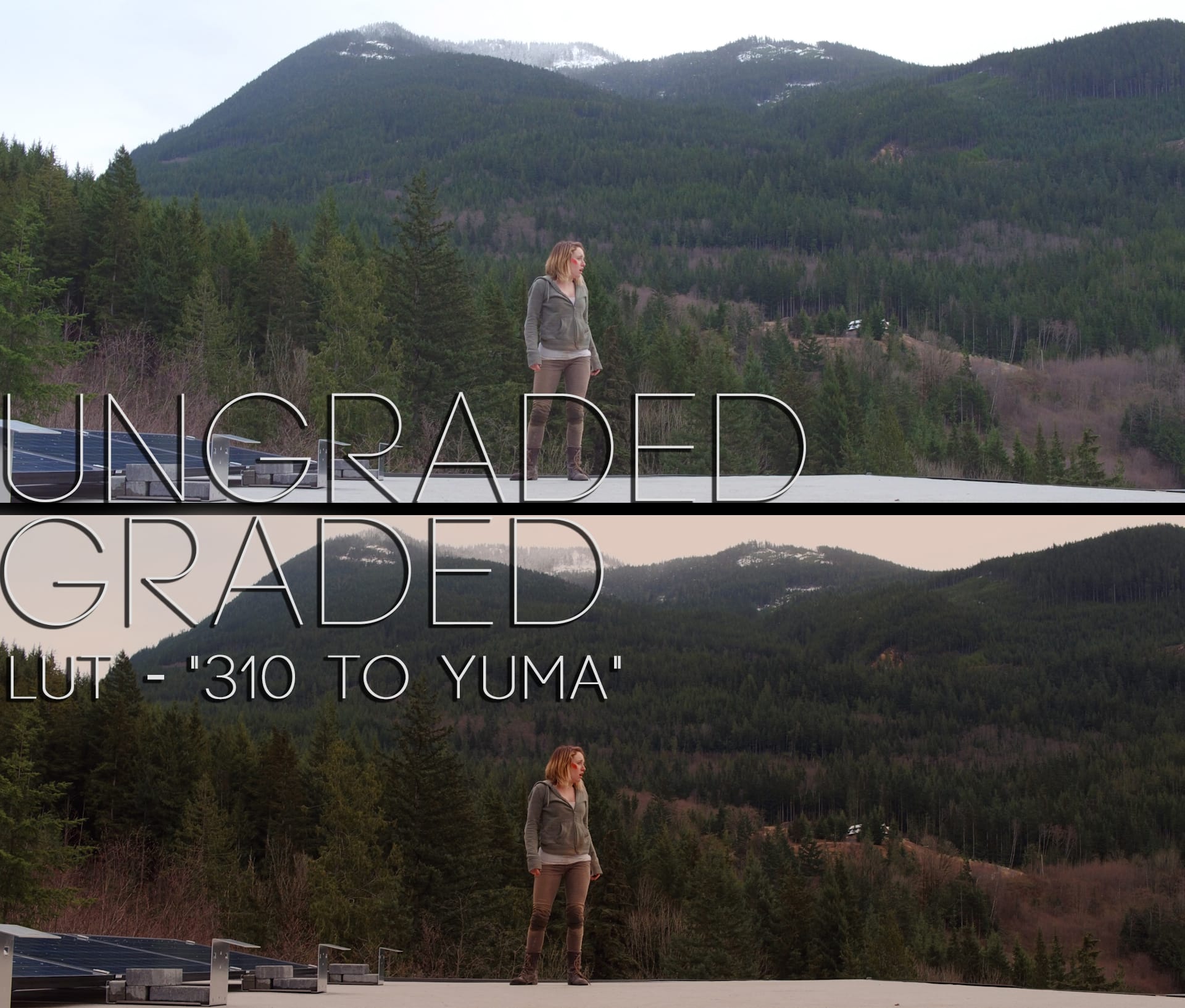 Cinematic LUTs V1