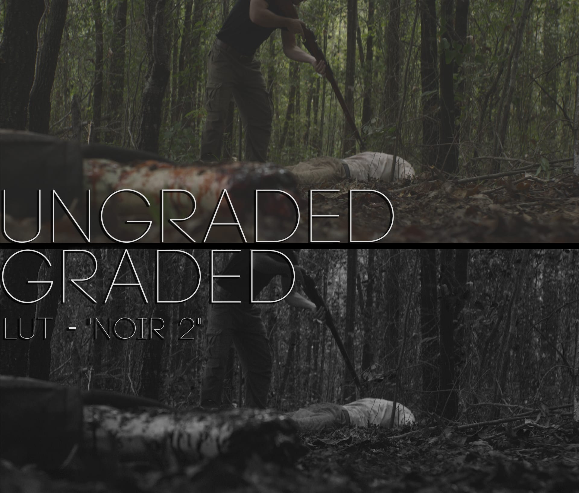 Cinematic LUTs V1