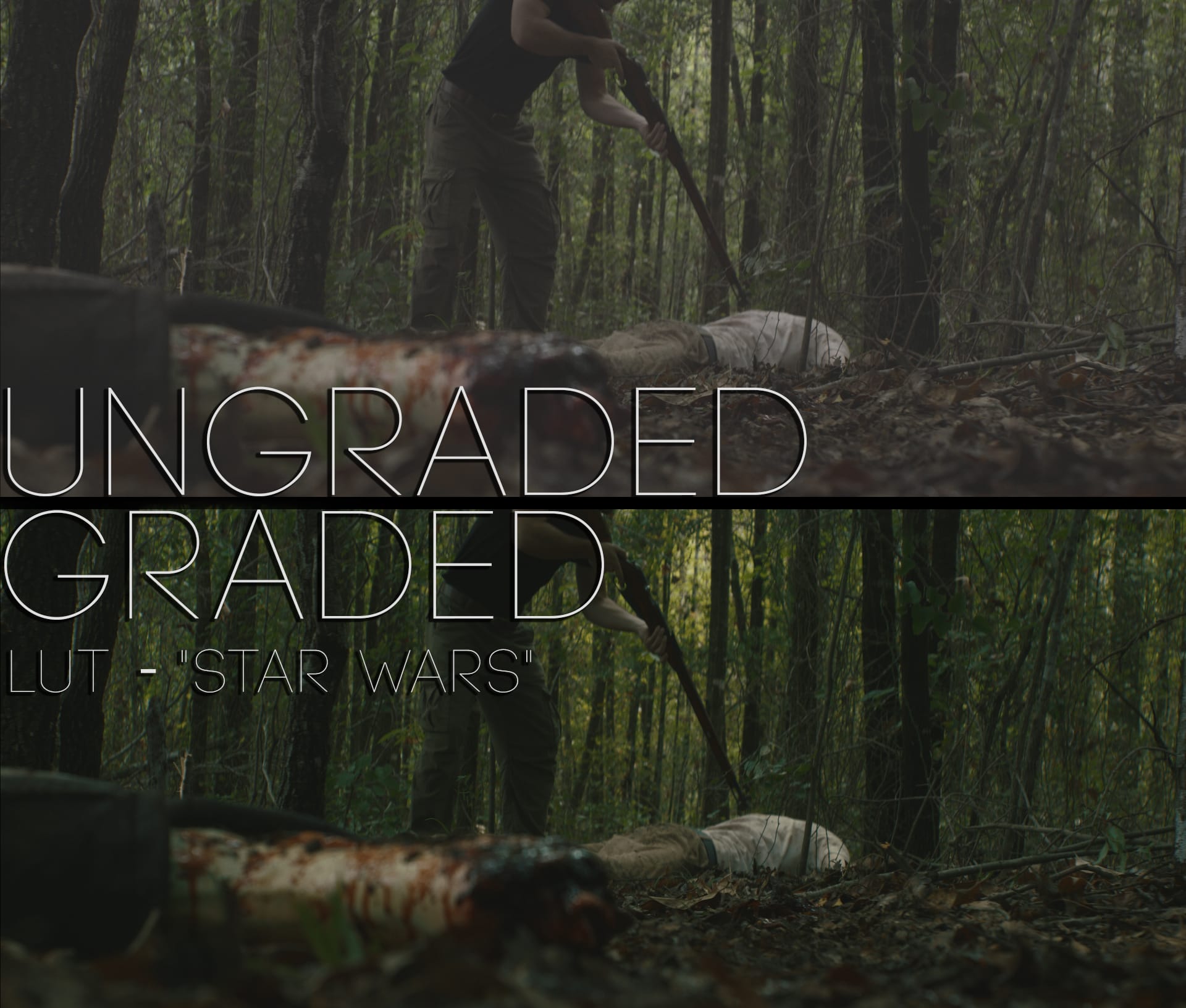 Cinematic LUTs V1