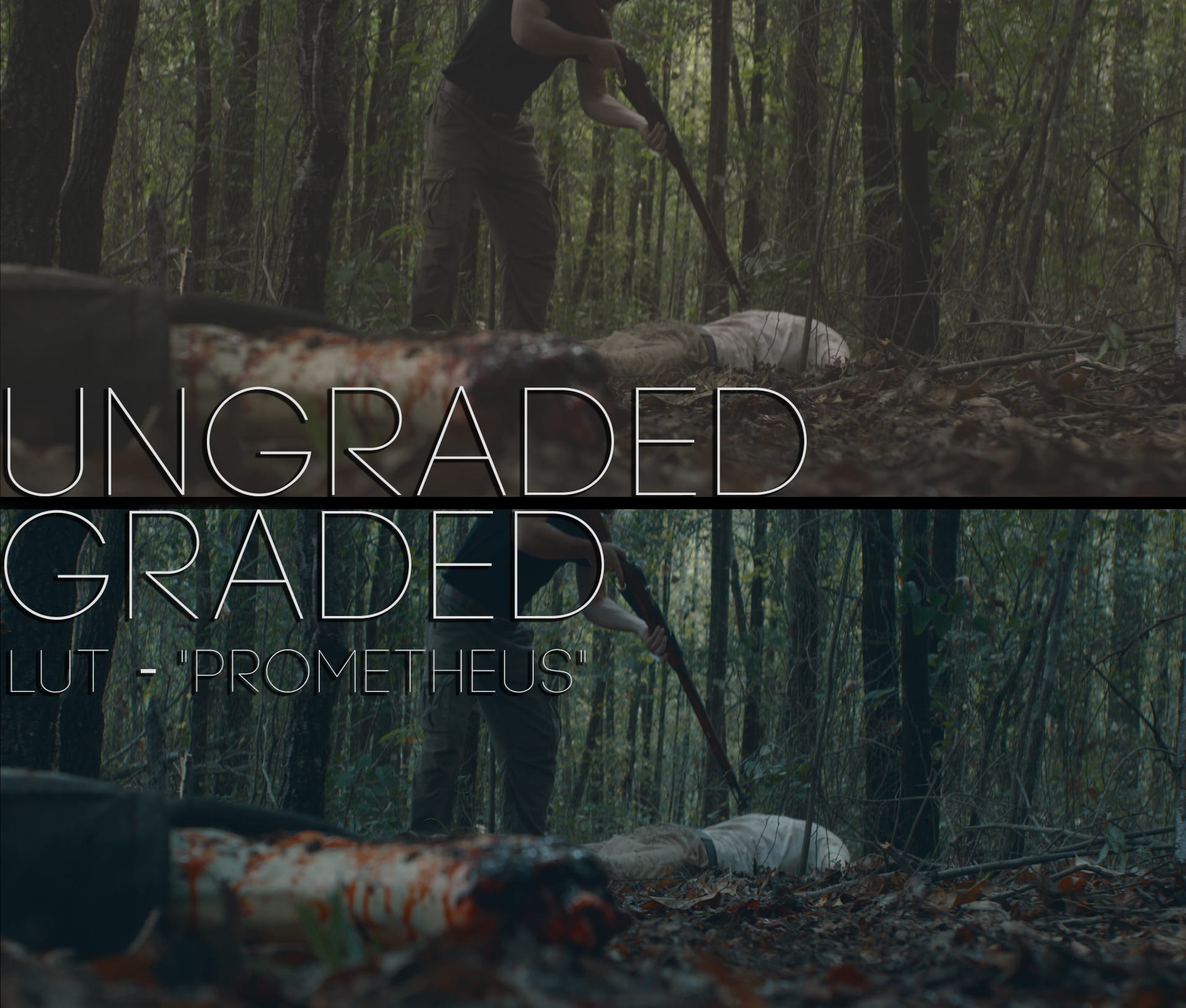 Cinematic LUTs V1