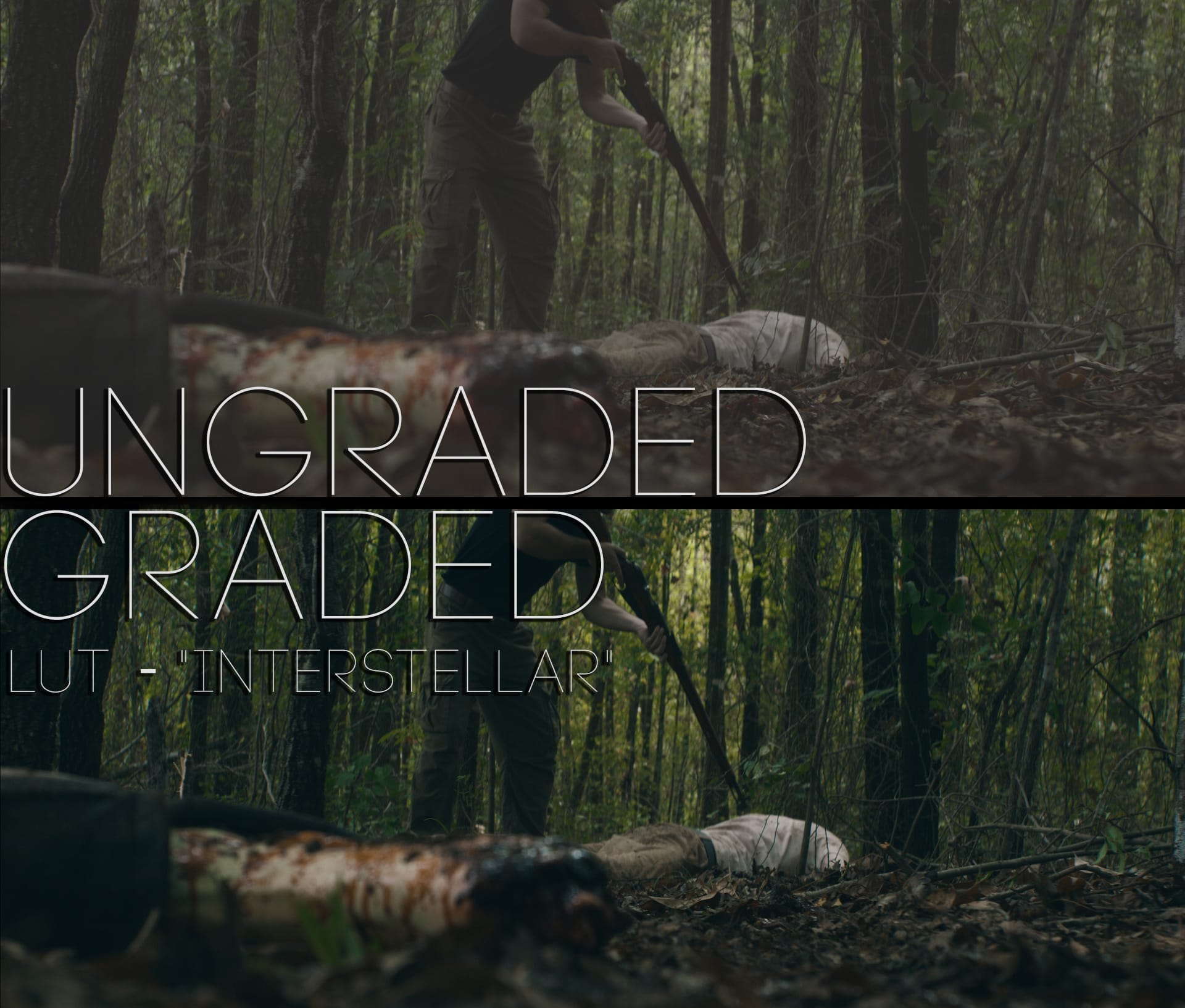 Cinematic LUTs V1