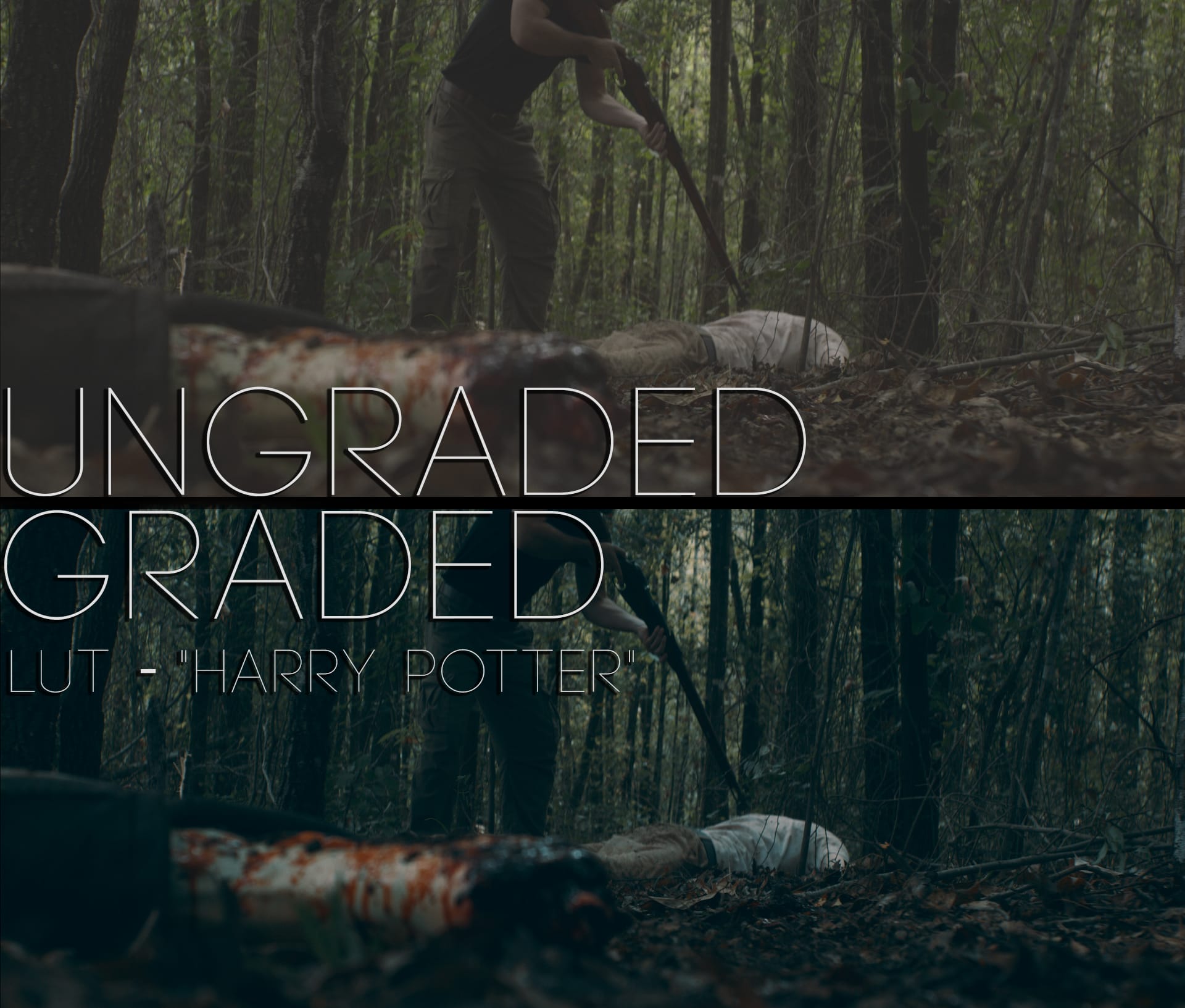 Cinematic LUTs V1