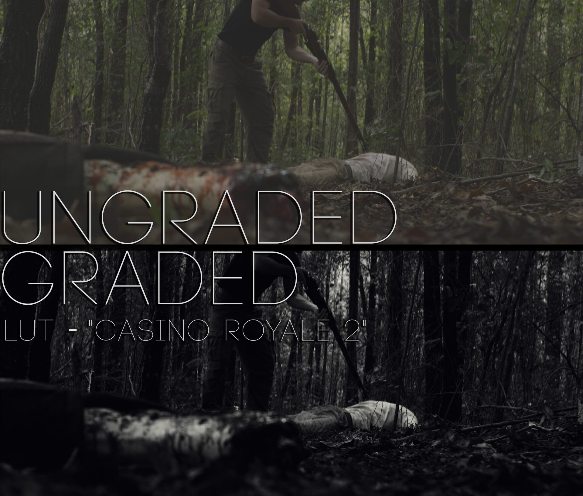Cinematic LUTs V1