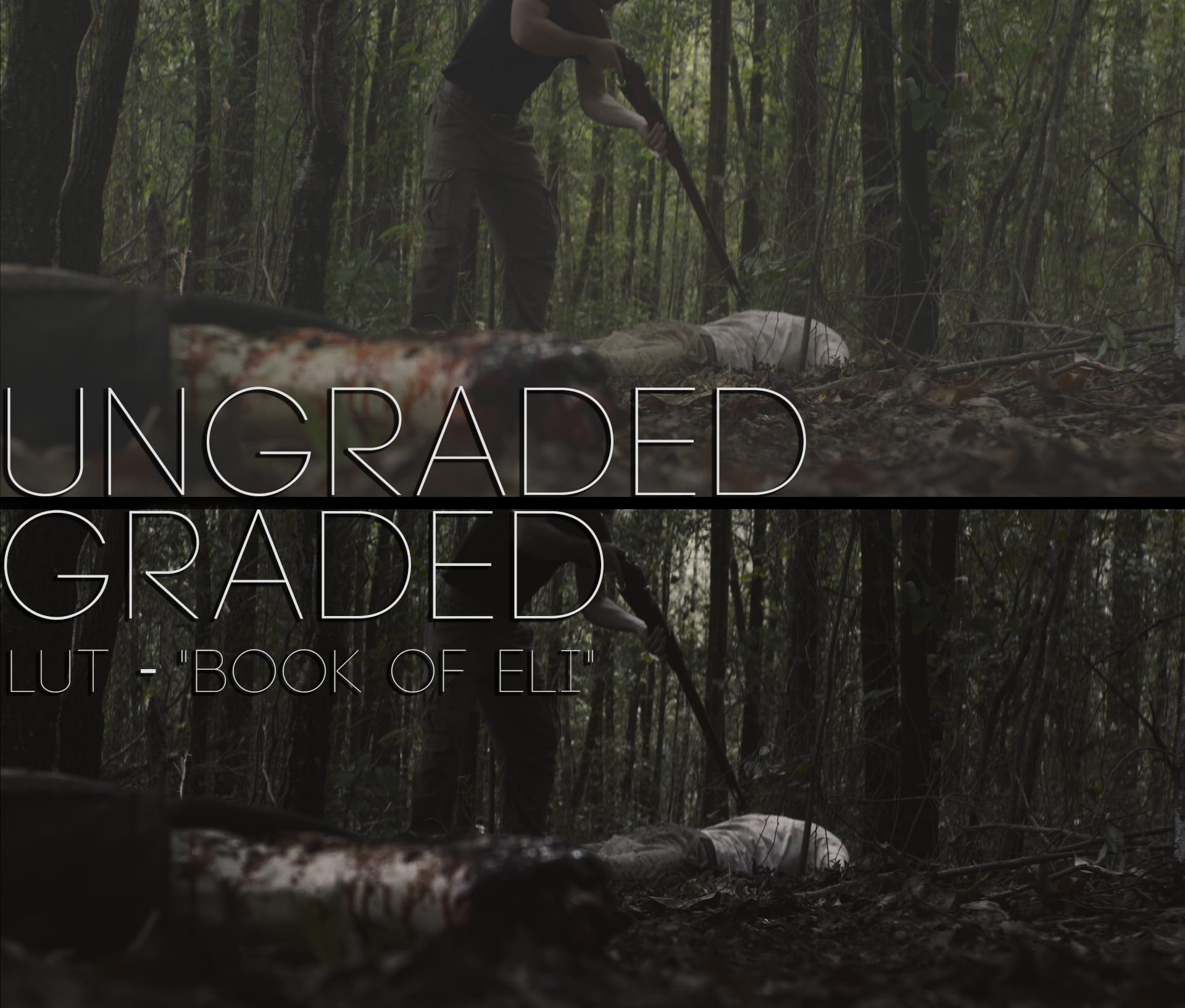 Cinematic LUTs V1