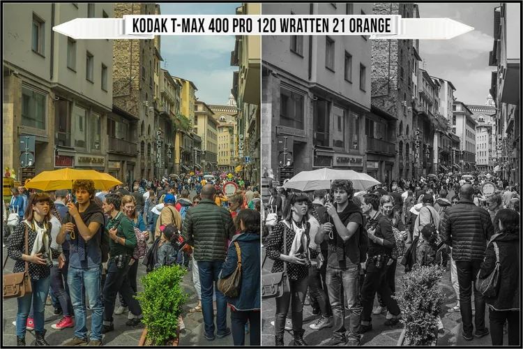 Eastman Kodak Black and White Films LUTs - Gallery Image