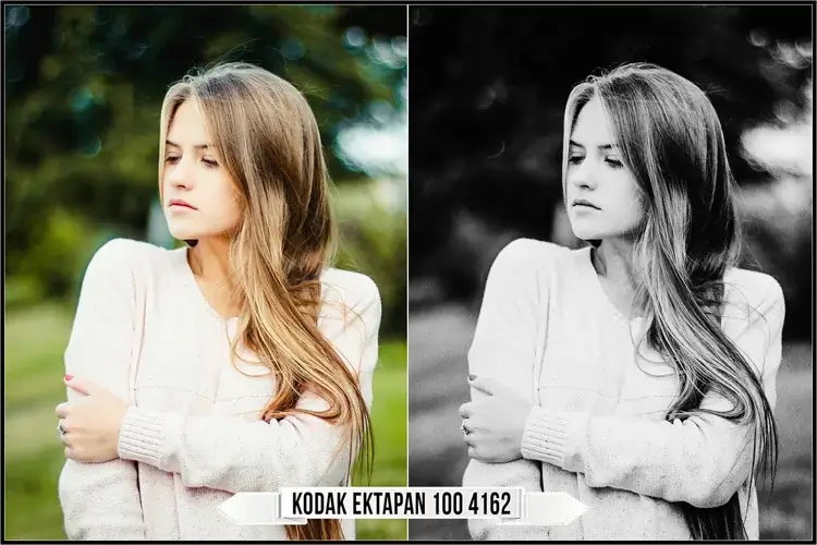 Eastman Kodak Black and White Films LUTs - Gallery Image
