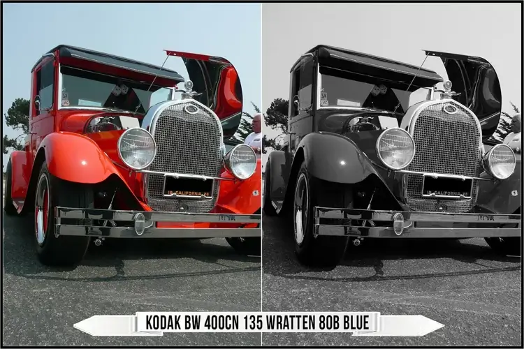 Eastman Kodak Black and White Films LUTs - Gallery Image