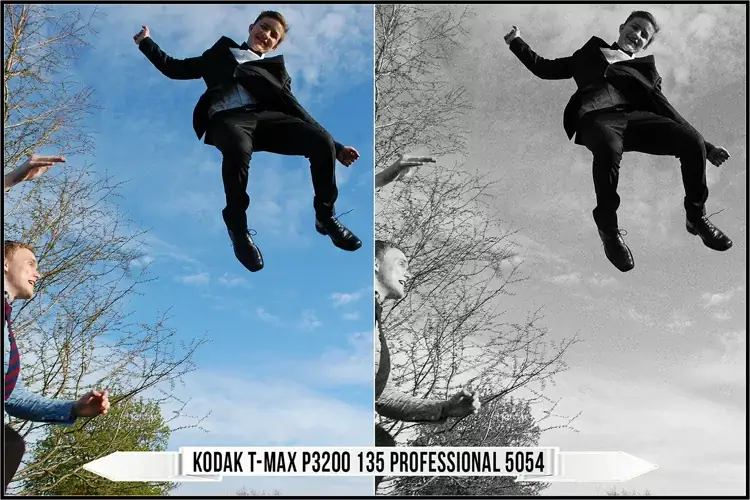 Eastman Kodak Black and White Films LUTs - Gallery Image