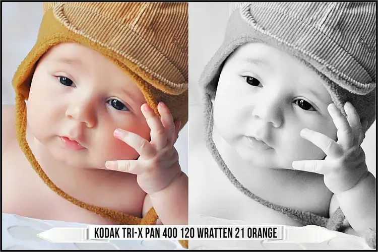 Eastman Kodak Black and White Films LUTs - Gallery Image