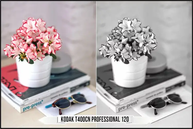 Eastman Kodak Black and White Films LUTs - Gallery Image