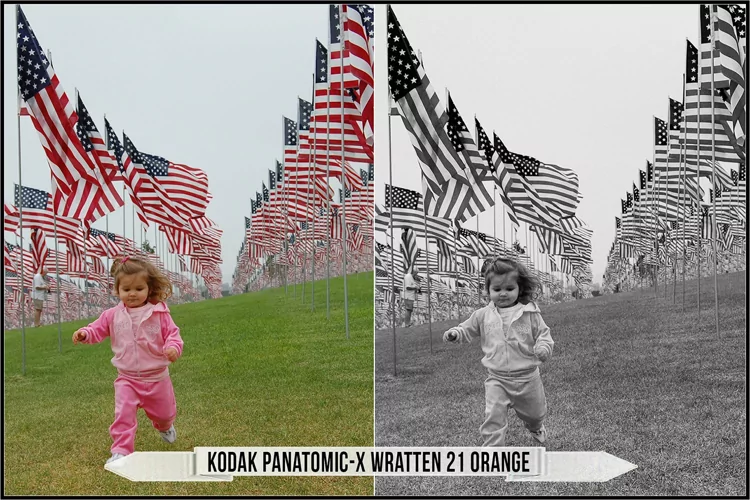Eastman Kodak Black and White Films LUTs - Gallery Image