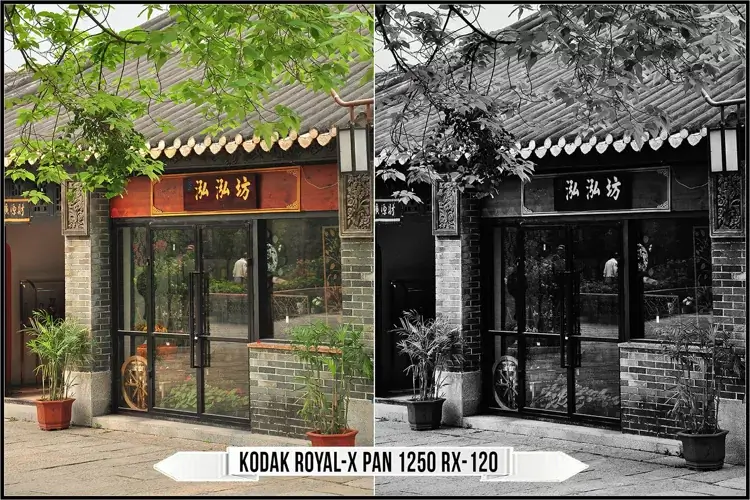 Eastman Kodak Black and White Films LUTs - Gallery Image