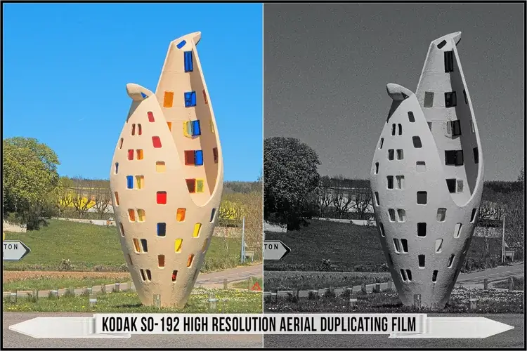 Eastman Kodak Black and White Films LUTs - Gallery Image
