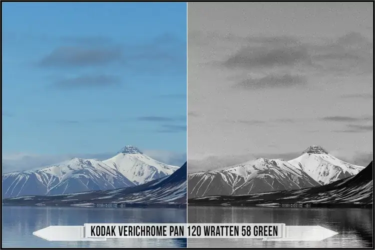 Eastman Kodak Black and White Films LUTs - Gallery Image