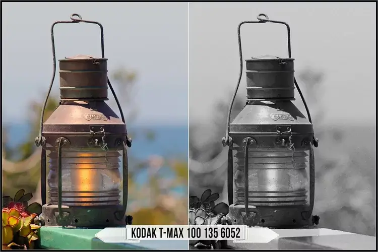 Eastman Kodak Black and White Films LUTs - Gallery Image