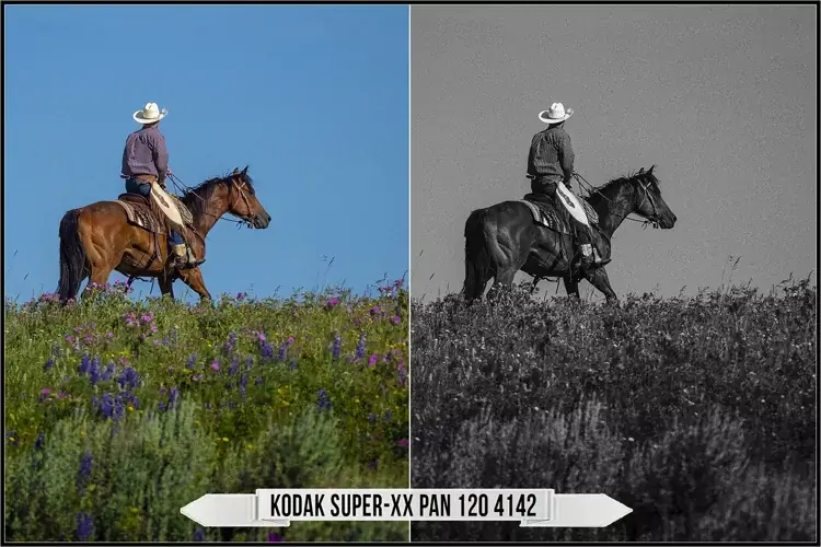 Eastman Kodak Black and White Films LUTs - Gallery Image
