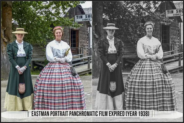 Eastman Kodak Black and White Films LUTs - Gallery Image