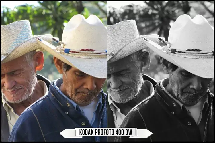 Eastman Kodak Black and White Films LUTs - Gallery Image