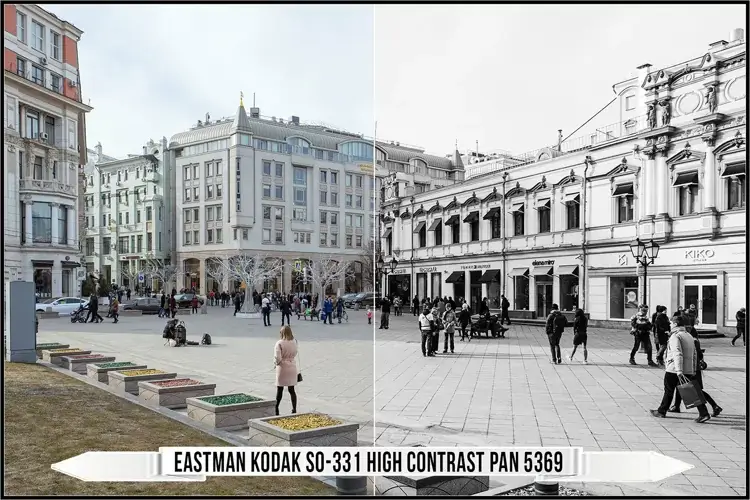 Eastman Kodak Black and White Films LUTs - Gallery Image
