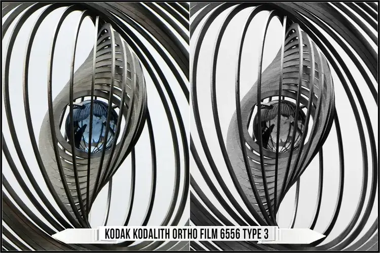 Eastman Kodak Black and White Films LUTs - Gallery Image